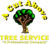 A Cut Above Tree Service - Tree Removal Service in Woodbury NJ 08096
